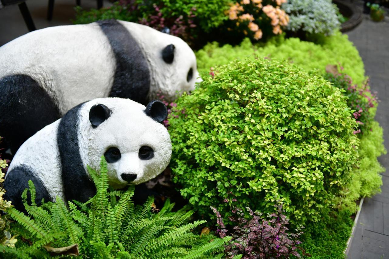Xishu Garden Inn - Travel Agency Service - Car Rent Service - English Speaking Thành Đô Ngoại thất bức ảnh